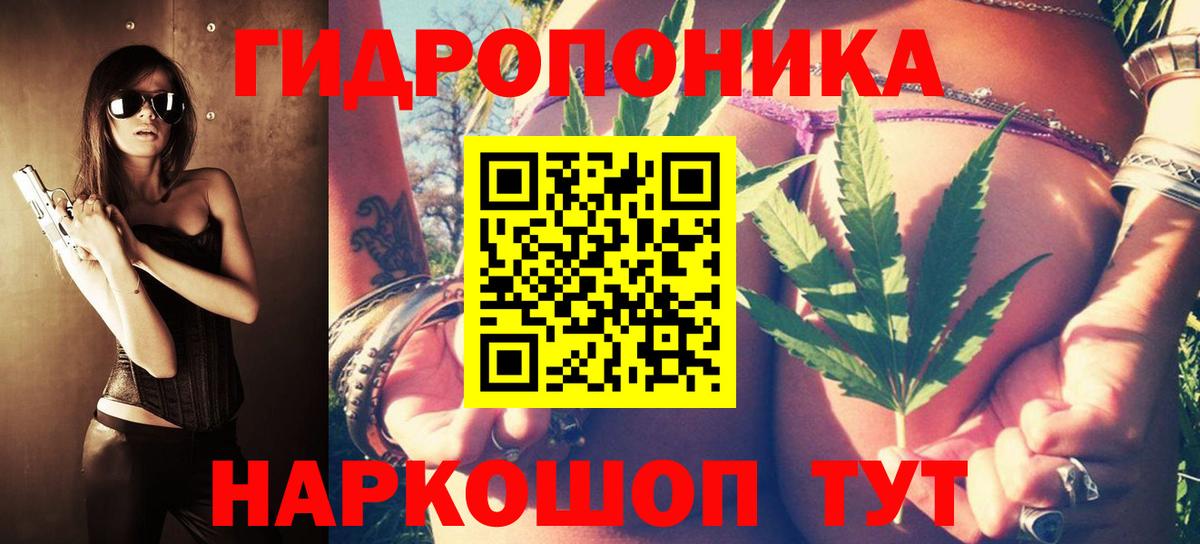 Бошки Шишки гибрид Пенза